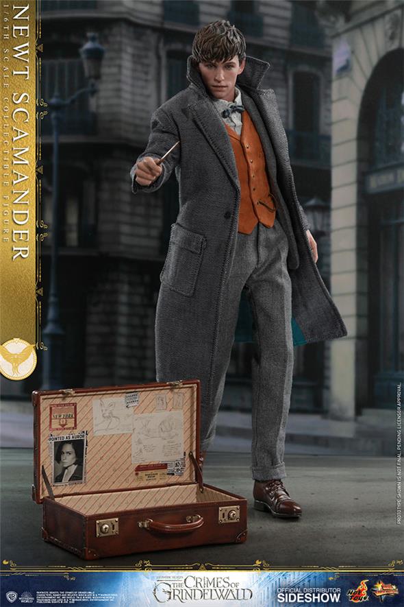 1/6 HOT TOYS - FANTASTIC BEASTS 2 - NEWT SCAMANDER