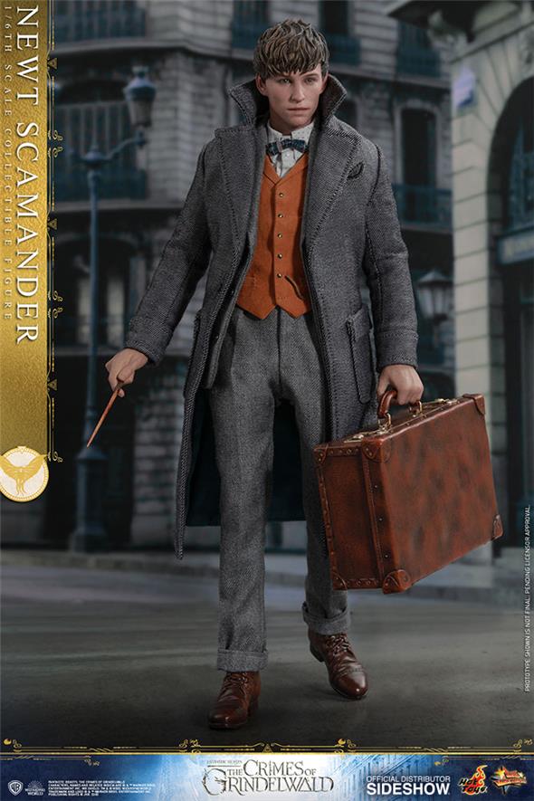 1/6 HOT TOYS - FANTASTIC BEASTS 2 - NEWT SCAMANDER