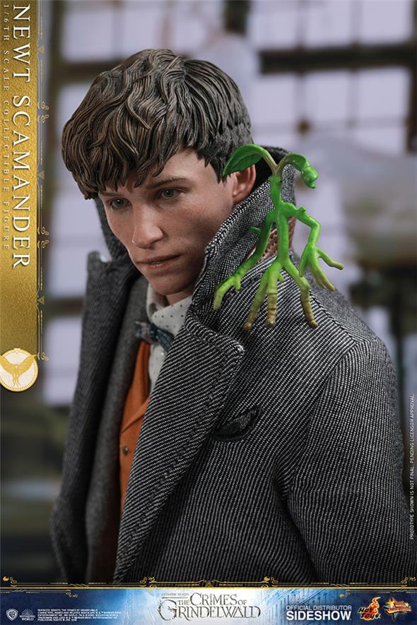 1/6 HOT TOYS - FANTASTIC BEASTS 2 - NEWT SCAMANDER