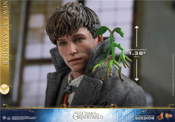 1/6 HOT TOYS - FANTASTIC BEASTS 2 - NEWT SCAMANDER