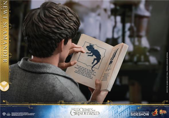 1/6 HOT TOYS - FANTASTIC BEASTS 2 - NEWT SCAMANDER