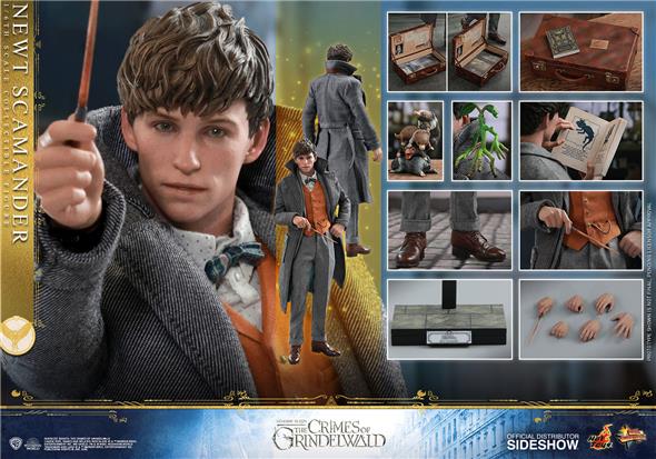 1/6 HOT TOYS - FANTASTIC BEASTS 2 - NEWT SCAMANDER