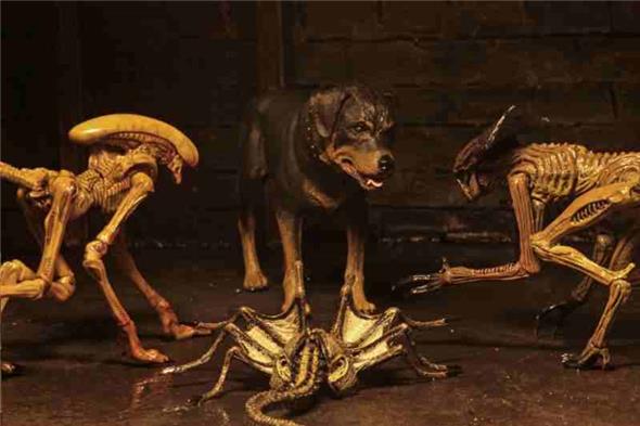 NECA - ALIEN 3 ACCESSORY CREATURE PACK