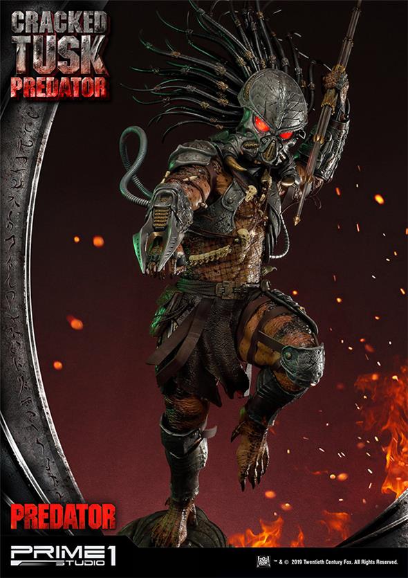 PREDATOR - CRACKED TUSK PREDATOR