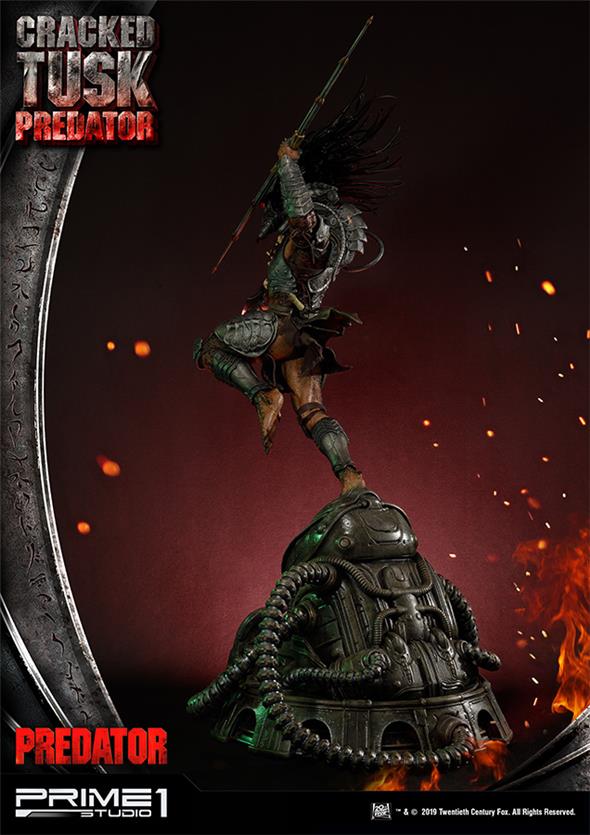 PREDATOR - CRACKED TUSK PREDATOR