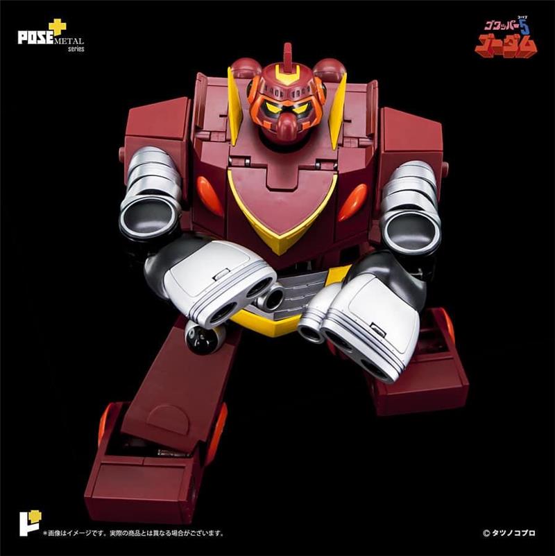 POSE+ METAL SERIES P+05 GORDAM (GODAM)