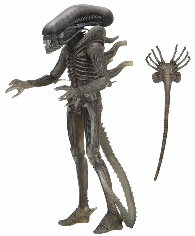 NECA - ALIEN 40TH ANNIVERSARY ASSTM 4 SET (3)