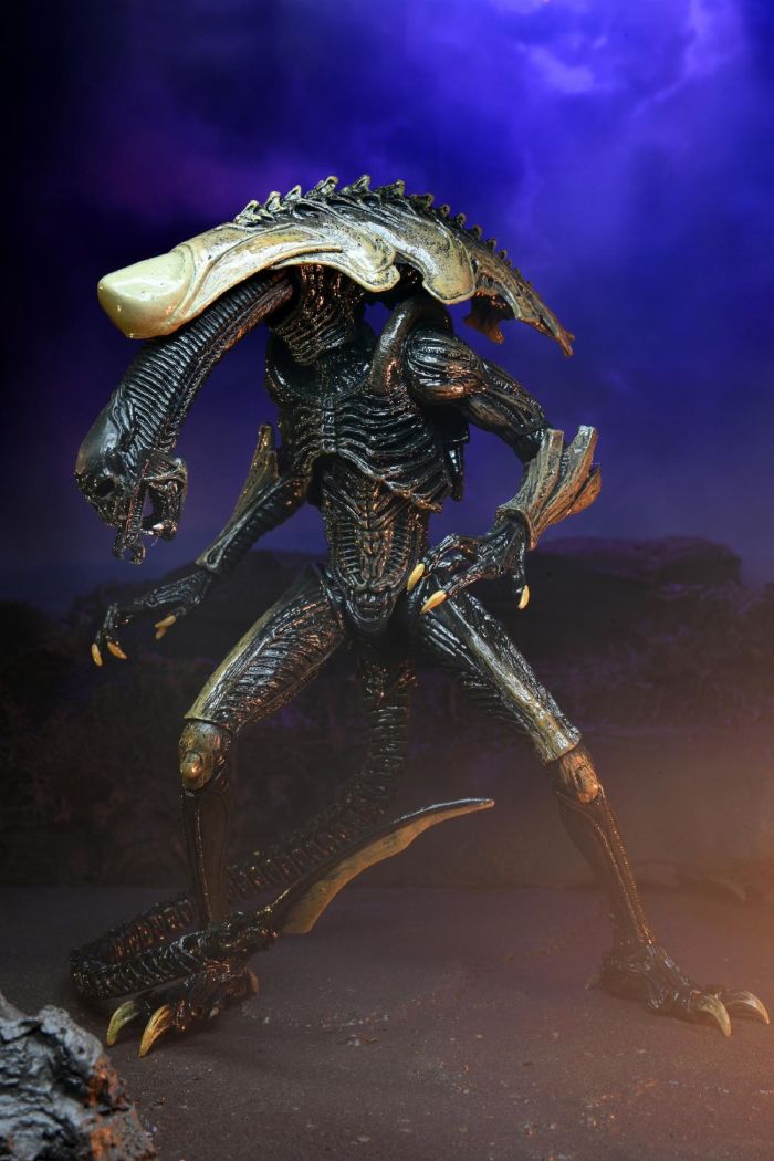 NECA - AVP ALIEN MOVIE DECO AF SET (3)