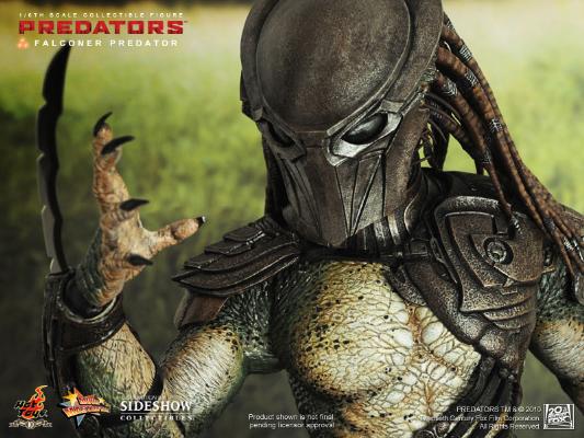 1/6 HOT TOYS - FALCONER PREDATOR