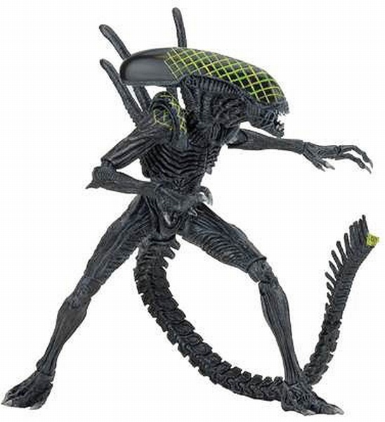 NECA -  ALIEN VS PREDATOR CELTIC PREDATOR E GRID ALIEN BATTLE DAMAGED VERSION