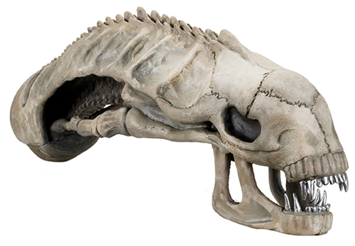 NECA - ALIENS ALIEN SKULL REPLICA